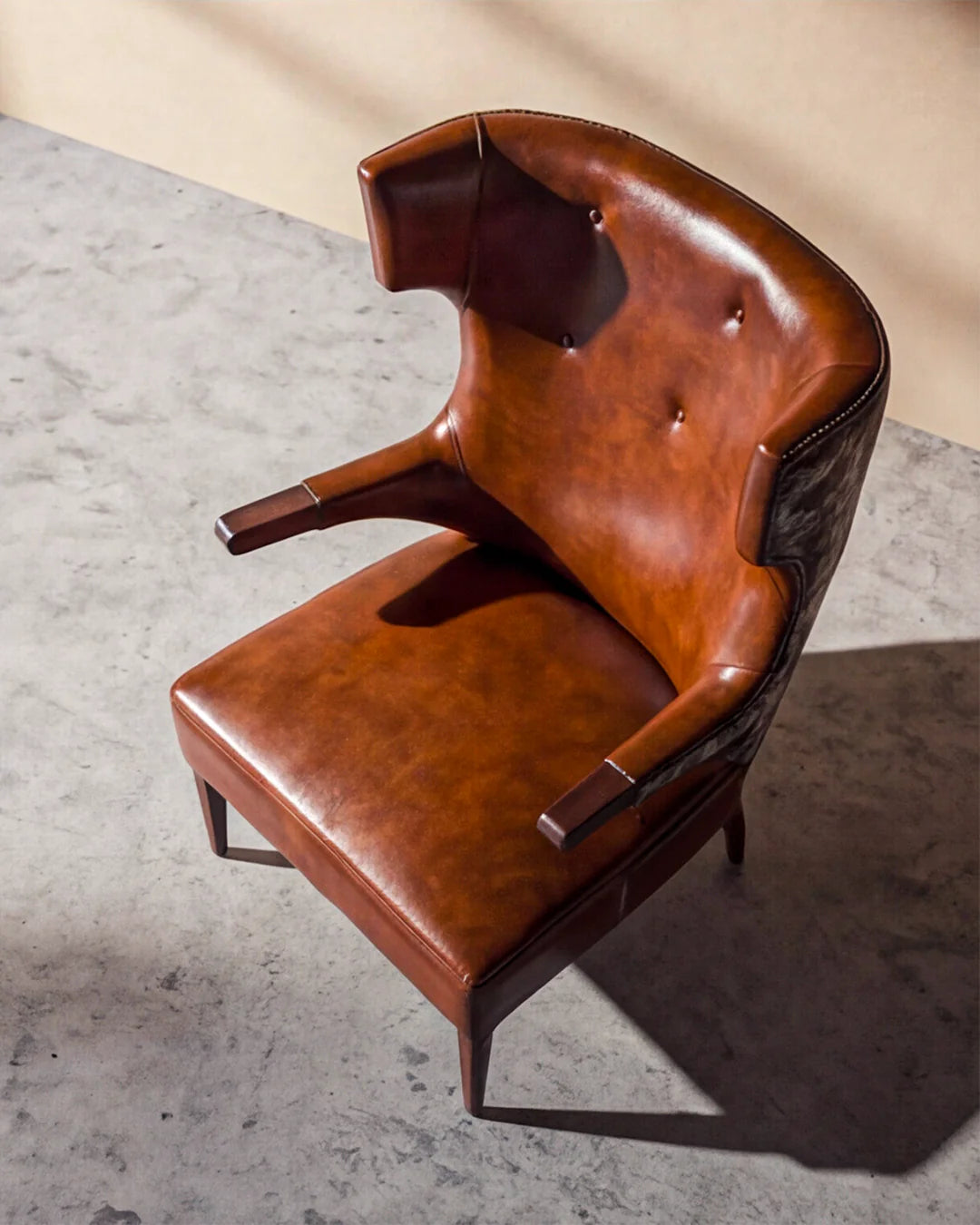 Harlo Vincent Leather Armchair – Hairon Skin Back