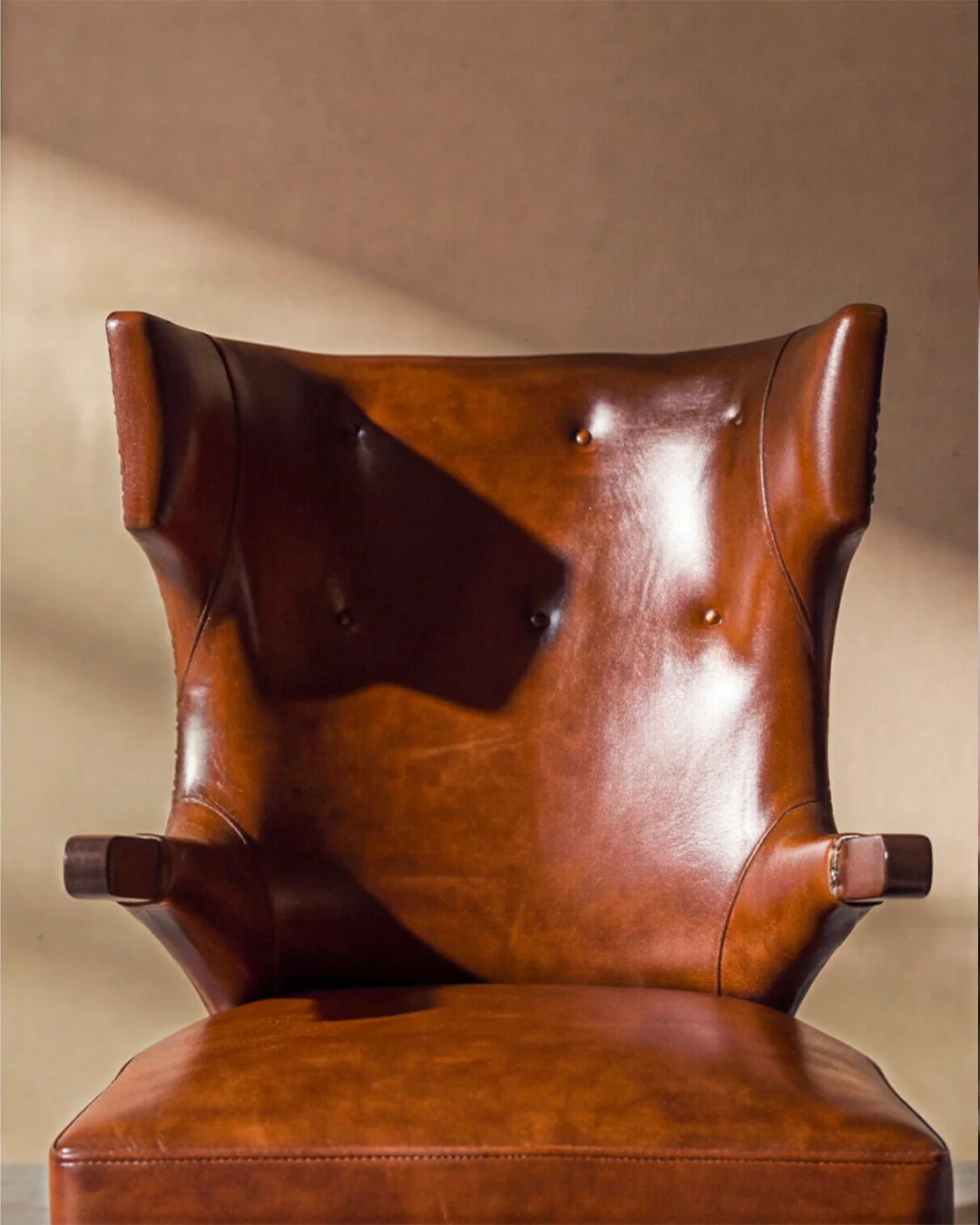 Harlo Vincent Leather Armchair – Hairon Skin Back